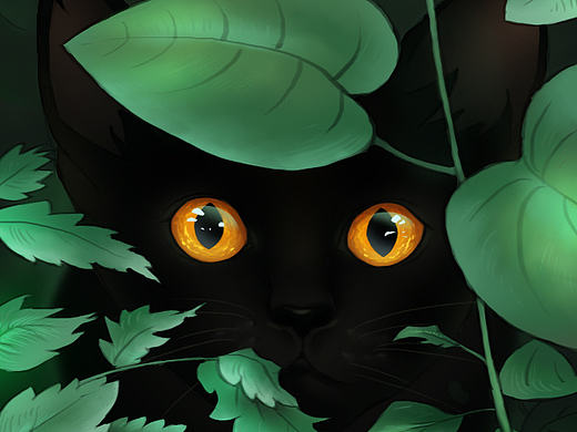 黑猫