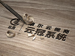 LOGO样机