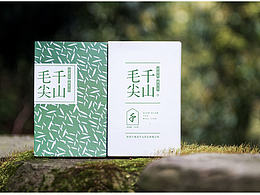 茶