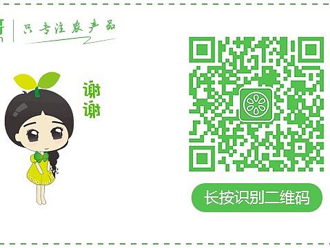 西农哥的微信（个人主页-ZMTg1MDY5NTI=） - APP界面 - 站酷设计师落落落梨花原创素材 - 站酷ZCOOL