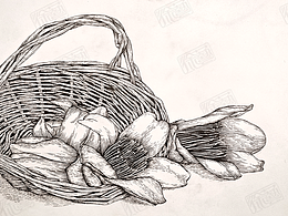 木棉花与竹篮的插画