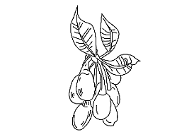 食养粉 包装设计（个人主页-ZNjU0ODkxMDg=） - 包装 - 站酷设计师叫啥名字无所谓了原创素材 - 站酷ZCOOL