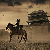 云歌云公子的头像
