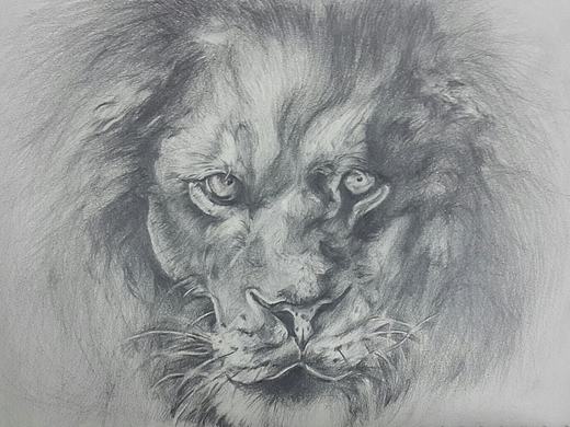 雄狮（个人主页-ZMTcxOTA5MDQ=） - 绘画 - 站酷设计师apostlegx原创素材 - 站酷ZCOOL