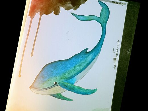 鯨（個人主頁-ZMzA5MzgxMTI=） - 其他 - 站酷設(shè)計師Viovi1215原創(chuàng)素材 - 站酷ZCOOL