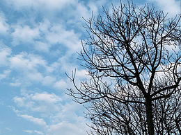 天空 藍(lán)天
