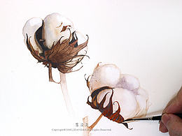 水彩画