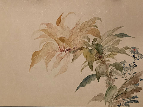 没骨花卉合集存图
