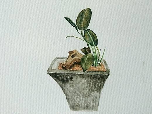 物喜--苔藓盆景绘画