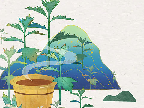 艾草足浴包插画设计