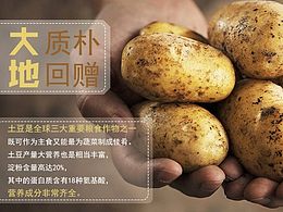 土豆