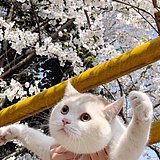 ruibaobei00的头像