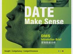 【对我犯下的错误进行铭记】为一家管理咨询公司做的平面设计