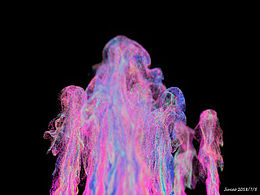 Dailyrender/Cycles4D&Xp4