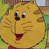 大脸笨猫的头像