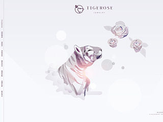 高端原创珠宝品牌网页设计。飞机稿