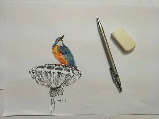 练习（个人主页-ZMjgxMzQ5MTI=） - 绘本 - 站酷设计师一卡羊毛原创素材 - 站酷ZCOOL