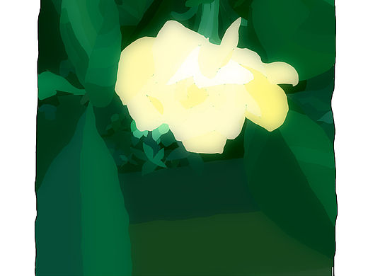 大姑家的梔子花（個人主頁-ZNTI4NjUyMDA=） - 創(chuàng)作習作 - 站酷設計師橙汁味兒的晴天原創(chuàng)素材 - 站酷ZCOOL