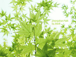 Beijing_Zhongshan Park 北京中山公园