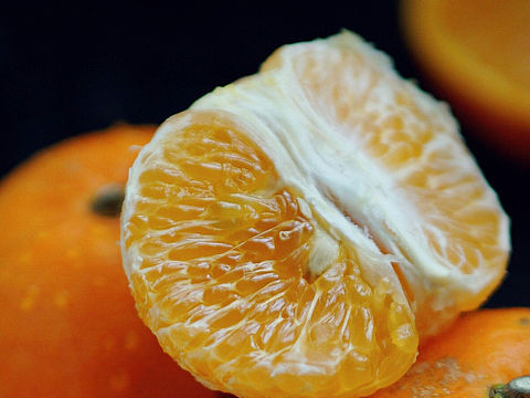 在家吃橙子（个人主页-ZNDIzODMwNjg=） - 产品摄影 - 站酷设计师麦豆花朵米秀原创素材 - 站酷ZCOOL