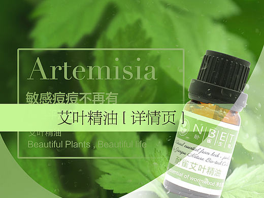 艾叶精油/艾草/精油/艾叶单方精油/精油详情