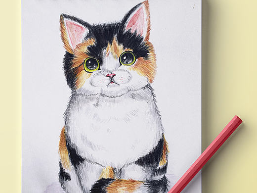 三花英國短毛貓（個人主頁-ZMjAwNTkzNTI=） - 藝術(shù)插畫 - 站酷設(shè)計師小魚與傻喵原創(chuàng)素材 - 站酷ZCOOL