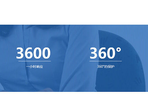 金指软件官网改版