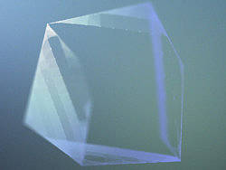 原创作品-立方体Plexus