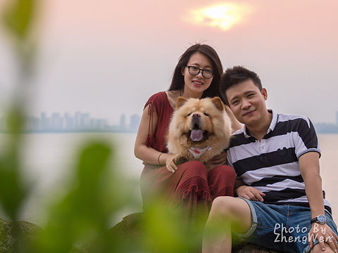 苏州哮天犬宠物摄影