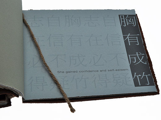 ARTIST BOOK