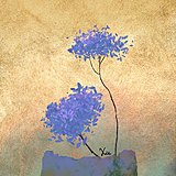 非无君蟹的头像