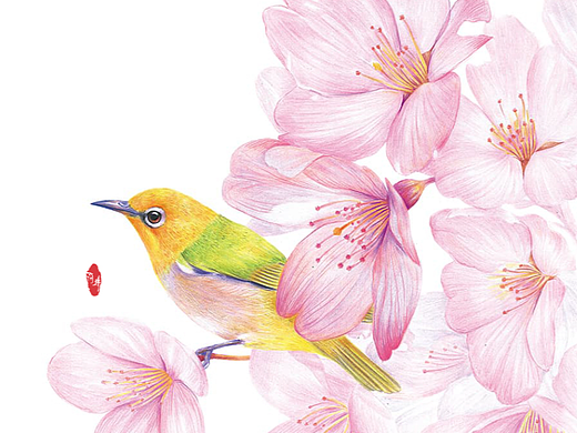 彩铅-花鸟3