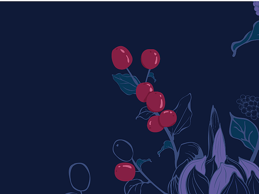 酸枣仁&百合&桑葚