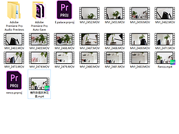 一款國際站的淋花壺視頻