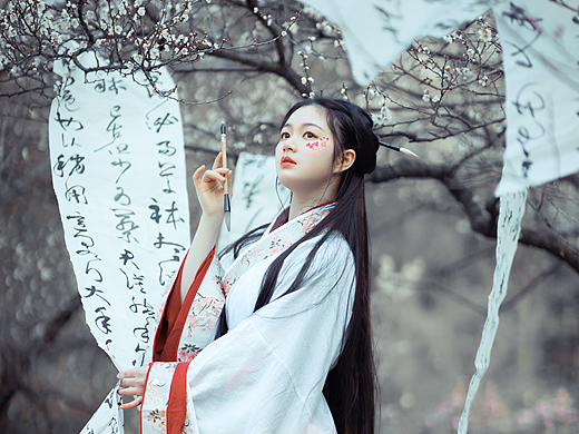 白梅诗仙