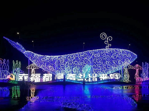 广西崇左亮化工程景观亮化城市亮化互动灯光展出租