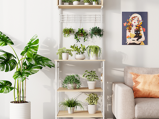 亚马逊置物架3D建模渲染