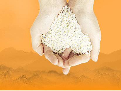 2024第十四届中国南京国际优质大米及精品杂粮博览会