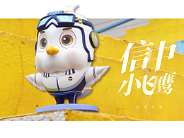 信中小飛鷹包裝設(shè)計(jì)