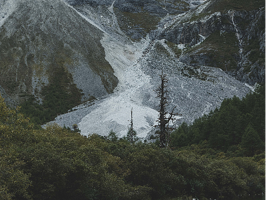 路遇风景