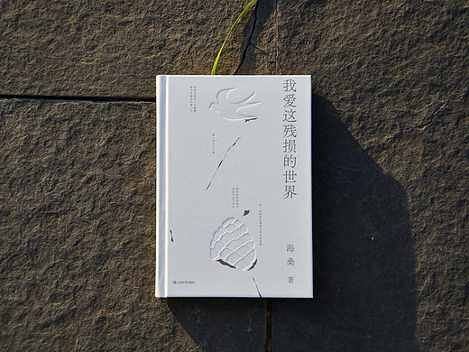 装帧设计《我爱这残损的世界》