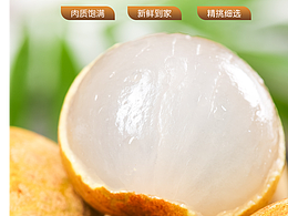 素材公社网
