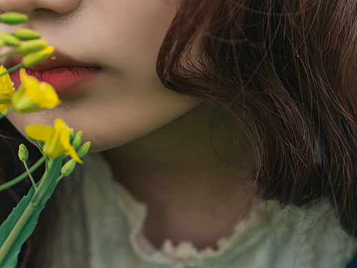 油菜花田