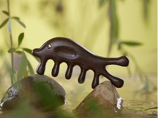 「静物摄影」一把梳子拍出梦幻般美丽的场景