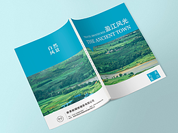 云南德宏州盈江縣家鄉(xiāng)旅游手冊(cè)