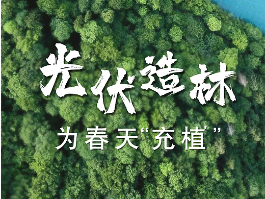 古瑞瓦特-植树节-世界森林日