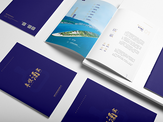 酒类企业画册设计