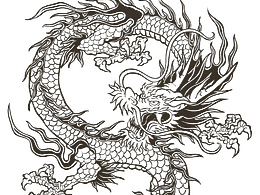 龙