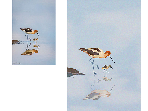 插画练习-5（个人主页-ZNjQyMDg0NjA=） - 创作习作 - 站酷设计师YIZ_Z原创素材 - 站酷ZCOOL