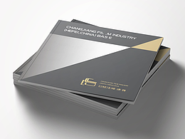 龙影文化传媒画册